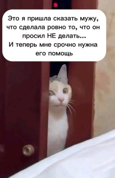 file_102423405