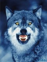 ba38b369f6154fc4f0269265af5 176x208