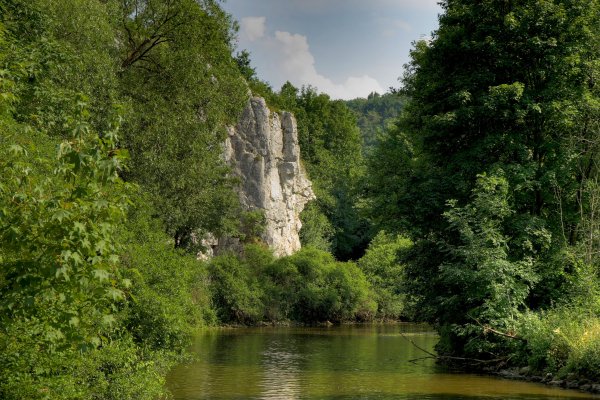 svetik