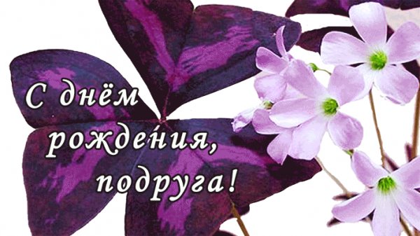 file_76403095