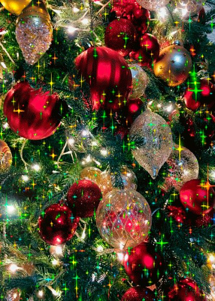 Da8f15fb85b54d11612c0f7f1b15f3a1