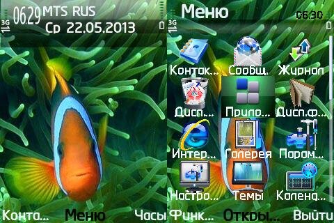 Fish