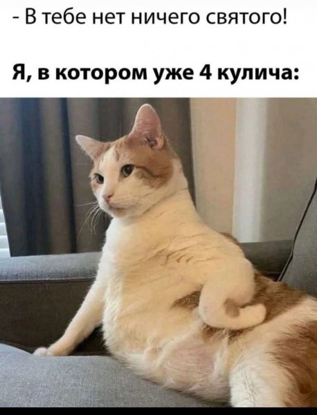 FB IMG 1776023999939