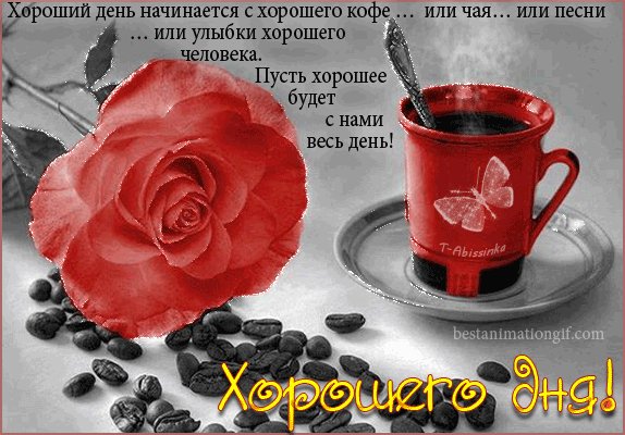 file_44784319