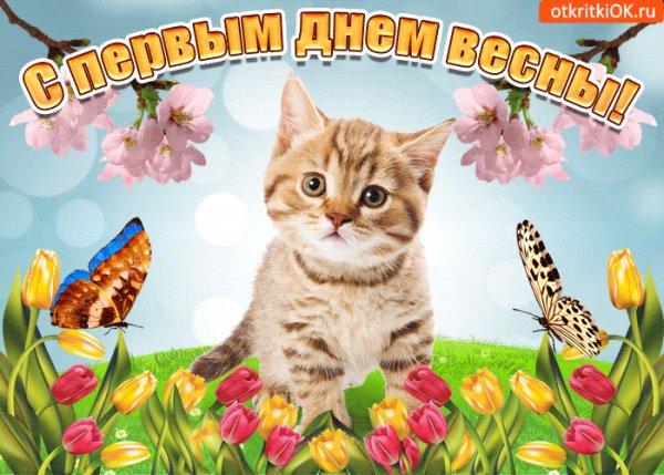 С весной!