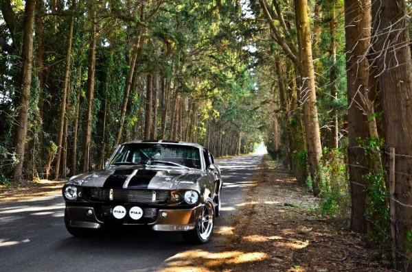 Mustang GT500 Eleanor