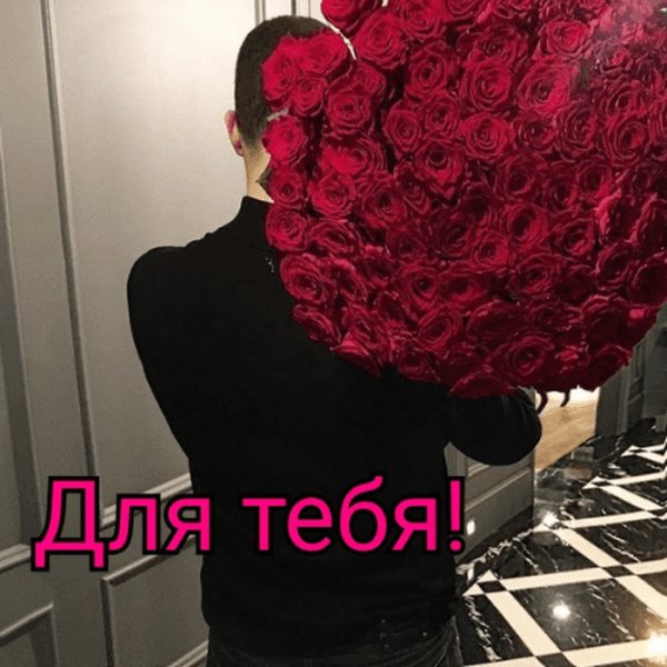 IMG 20241029 061244