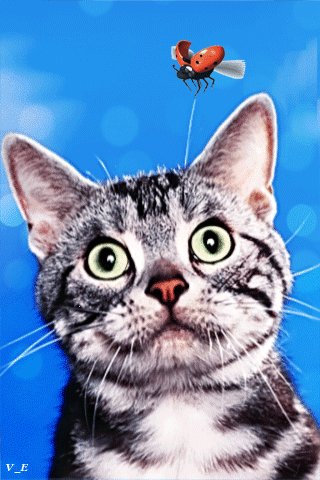 file_72777895