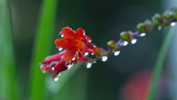 file_76794324