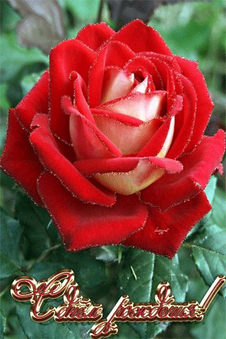 file_45634955
