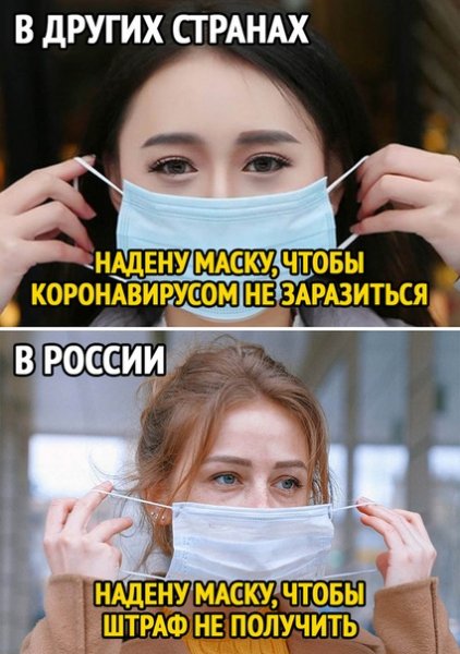 file_81587016
