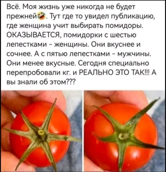 file_103108419
