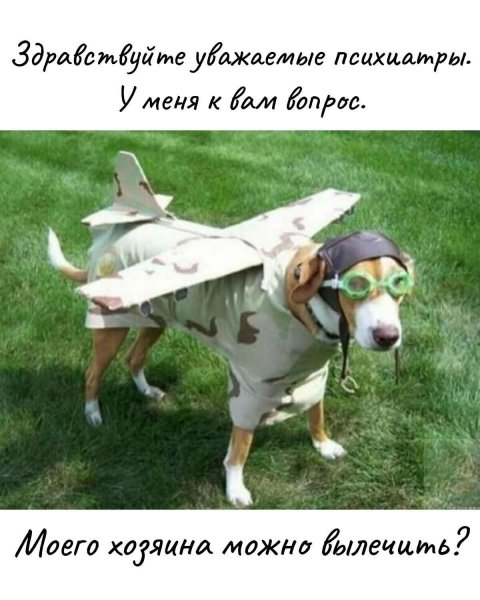 FB IMG 1774002304479