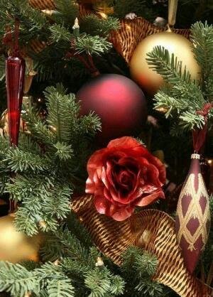 file_60301375