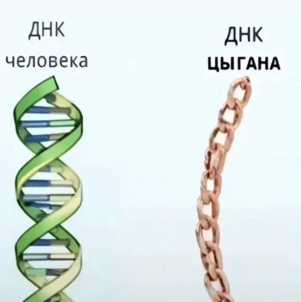 ДНК цыгана