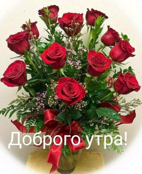 IMG 20191201 073320
