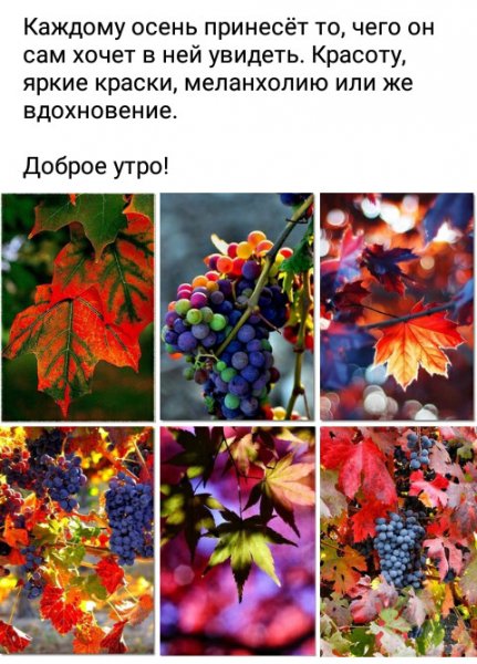 IMG 20241023 211415