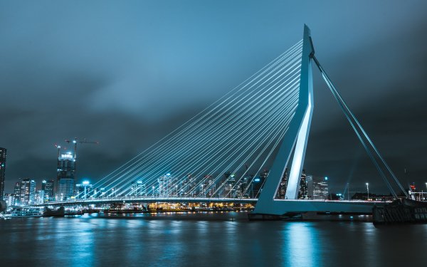 Pexels-tim-vink-11387361