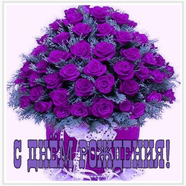 file_79620237