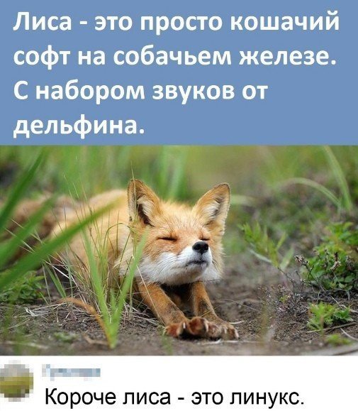 file_102331560