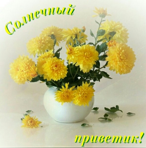 HjTA VqjZw