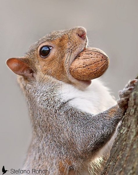 63d063872abcb1aa1af4560eb664968f