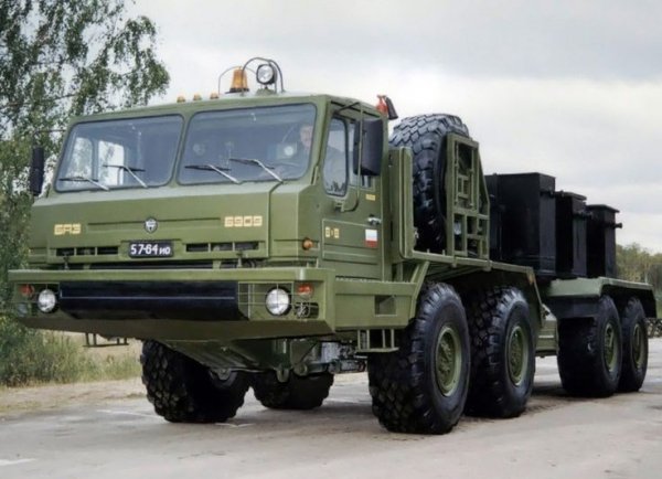 БАЗ-6909