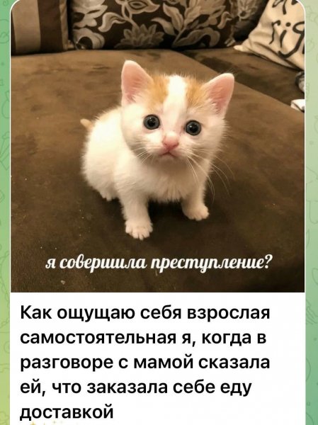 FB IMG 1777725101396