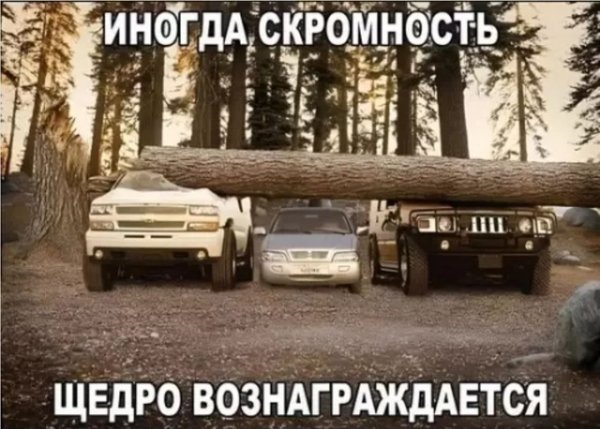 file_98080766