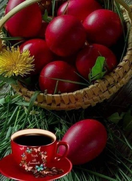 FB IMG 1714793098714