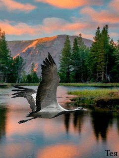 file_64719990