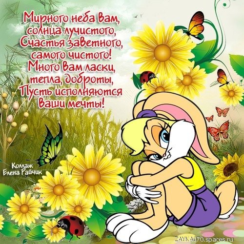 пожелания