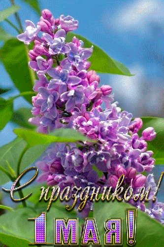 file_93456351