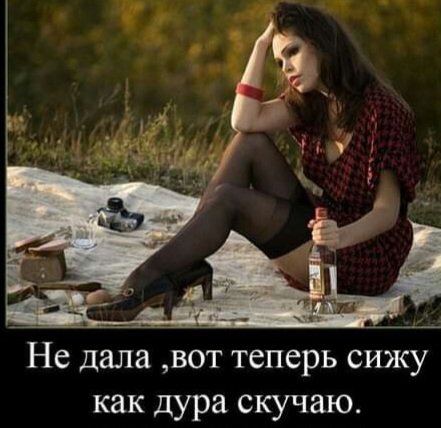 79b483408fe9884dc7503a62765411c3