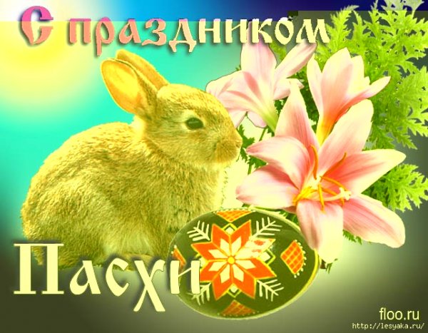 file_63833006