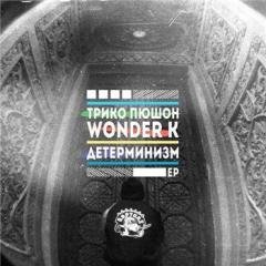 ТрикоПюшон x Wonder K. Детерминизм