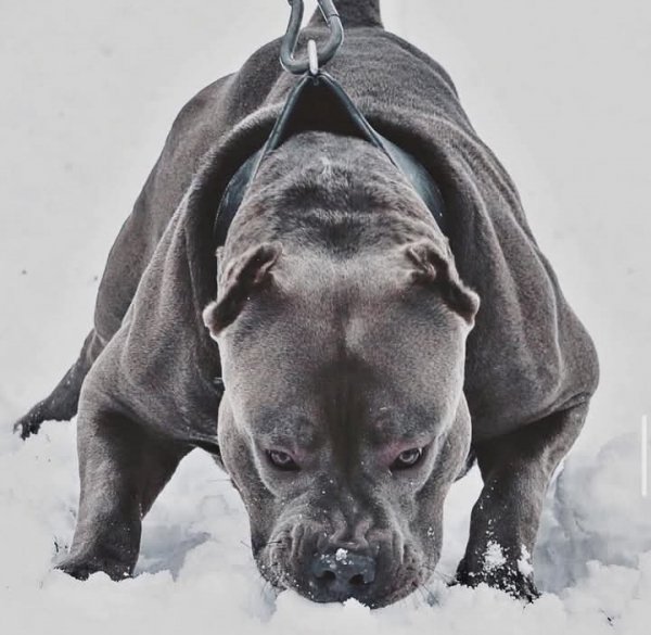 FB IMG 1771312161246