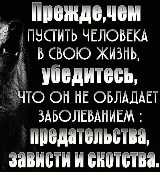 Прежде чем