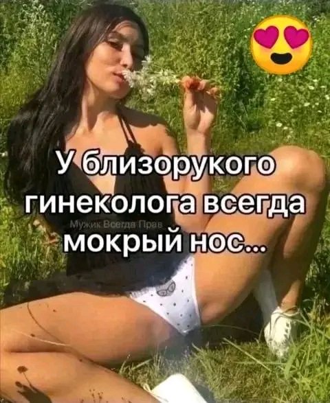 file_97791310