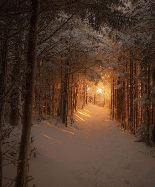 file_95188651