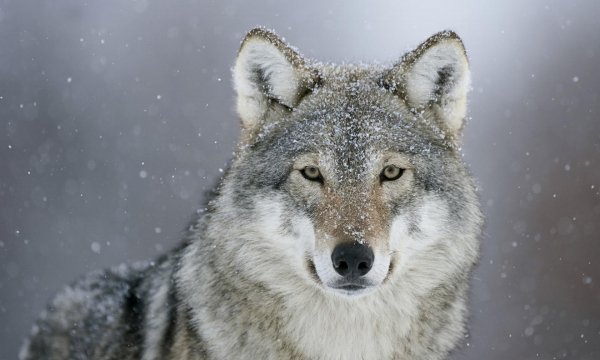 image (7)