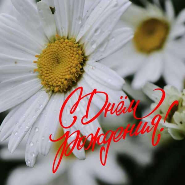 С днём рождения