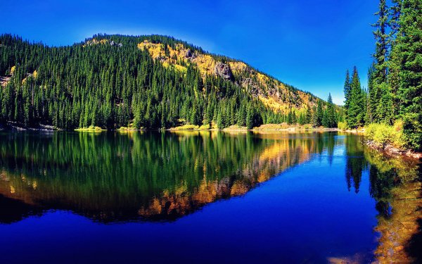 Gornoe-ozero-les-priroda-5850