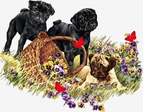 0 6da3e bf95fe3e Ljpg