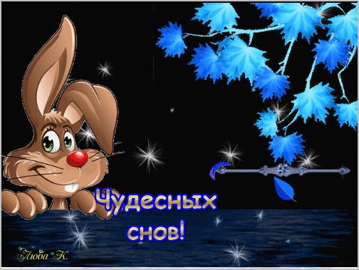 чудесных снов!