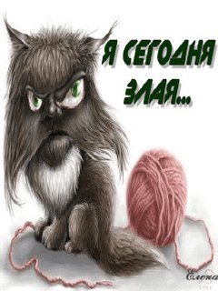file_2504116