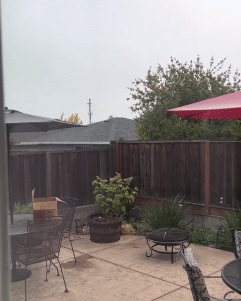 IMG 20221128 155344