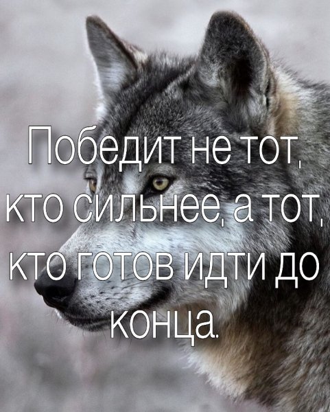 Со смыслом