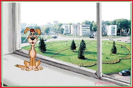 С днем рождения