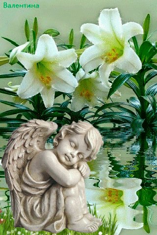 IMG 20190812 000308